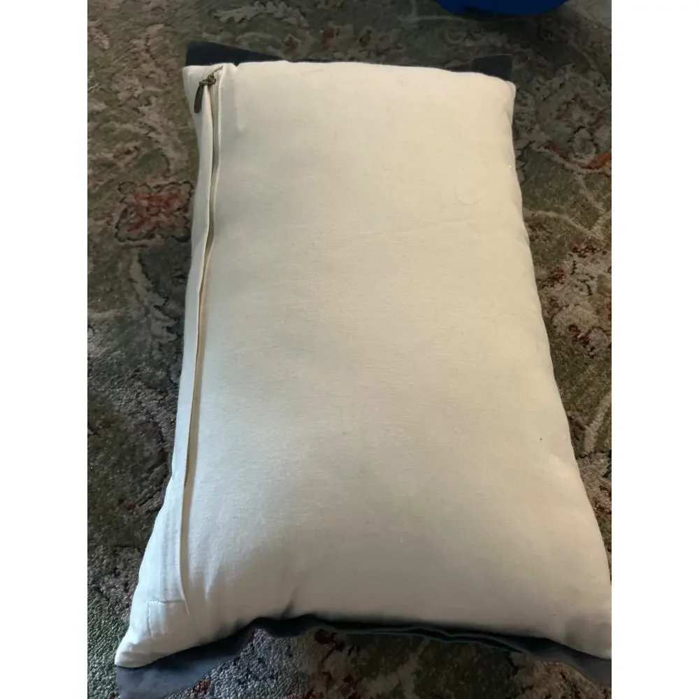 Pier 1 Pillow (hey gull friend